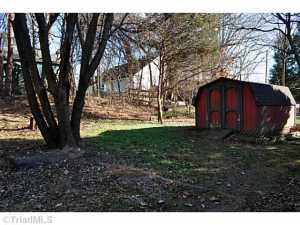 A partial pic of the backyard.