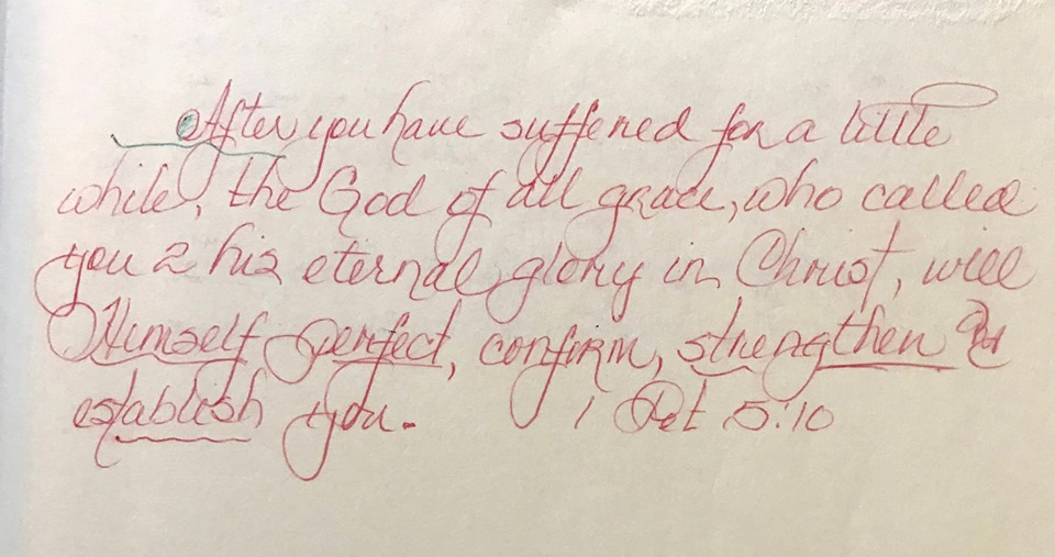 73180606_1379807085530196_3951844317227646976_n